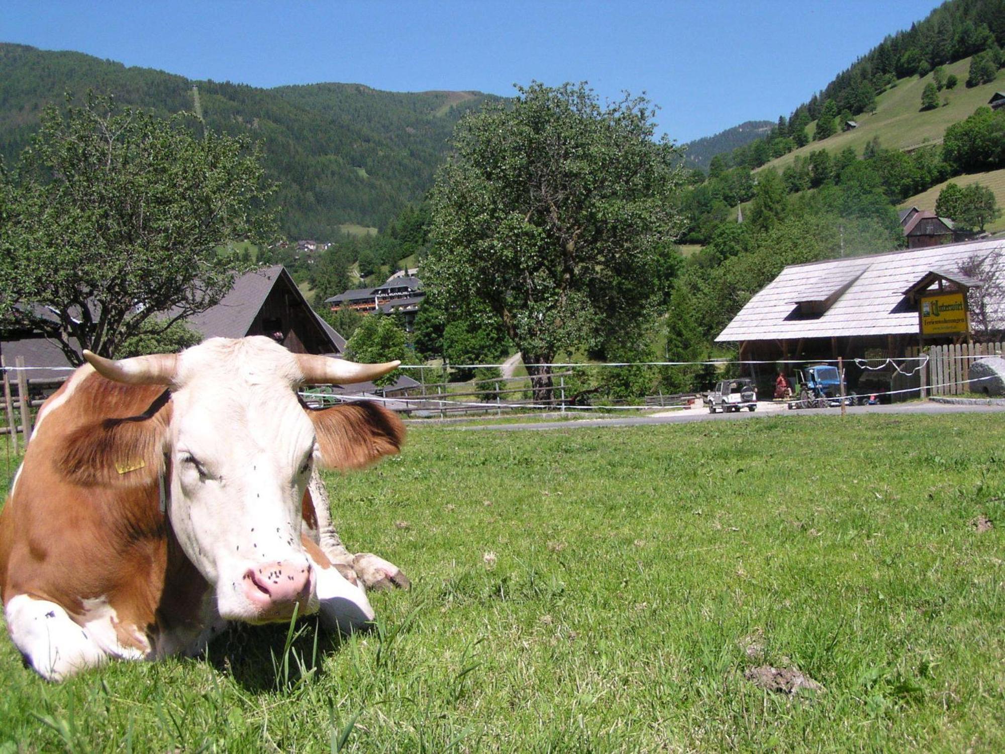 Apartamento Unterwirt Bad Kleinkirchheim Exterior foto